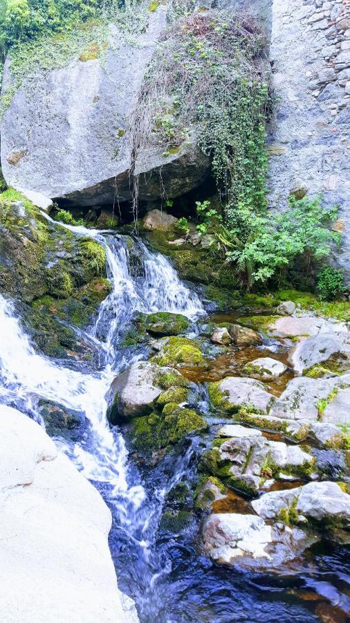 Hotel La Turr De Mezz Nesso Zewnętrze zdjęcie